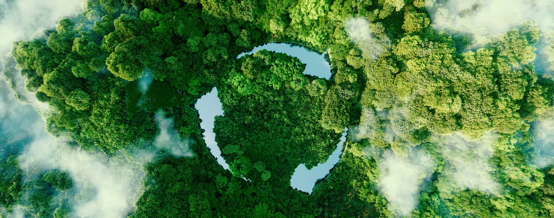জিয়াংসু কমার্স নিও মেটেরিয়াল কোং, লিমিটেড